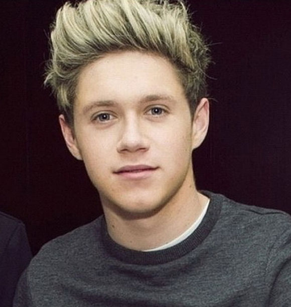 Niall,Niall (One Direction),Niall ở Hà Nội