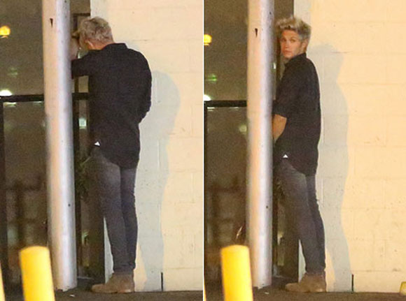Niall,Niall (One Direction),Niall ở Hà Nội