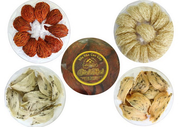 yen-sao-123-6-ngoisao 0 Yến sào Bird Nest House, Yến sào, Yến sào cao cấp