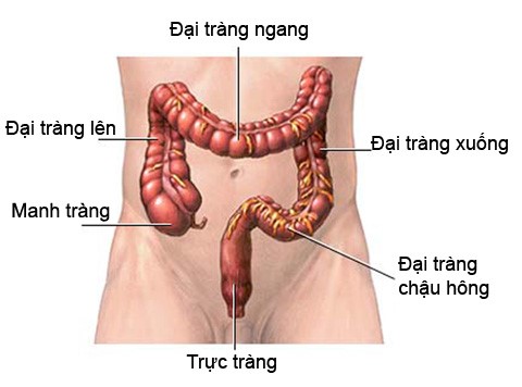 ung thư trực tràng, Dấu hiệu ung thư trực tràng, Bệnh ung thư