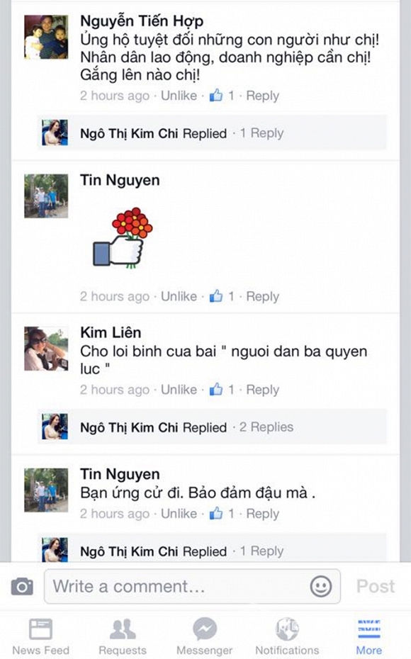 Doanh nhân Kim Chi, Ngô Thị Kim Chi, Doanh nhân Kim Chi ứng cử đại biểu Quốc hội