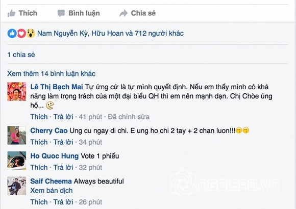 Doanh nhân Kim Chi, Ngô Thị Kim Chi, Doanh nhân Kim Chi ứng cử đại biểu Quốc hội