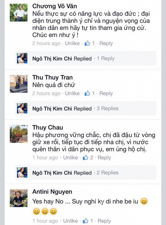 Doanh nhân Kim Chi, Ngô Thị Kim Chi, Doanh nhân Kim Chi ứng cử đại biểu Quốc hội