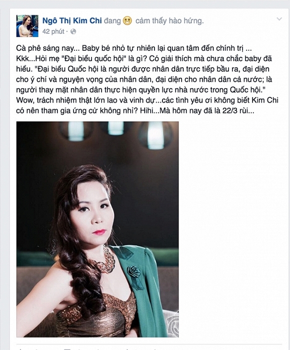 Doanh nhân Kim Chi, Ngô Thị Kim Chi, Doanh nhân Kim Chi ứng cử đại biểu Quốc hội