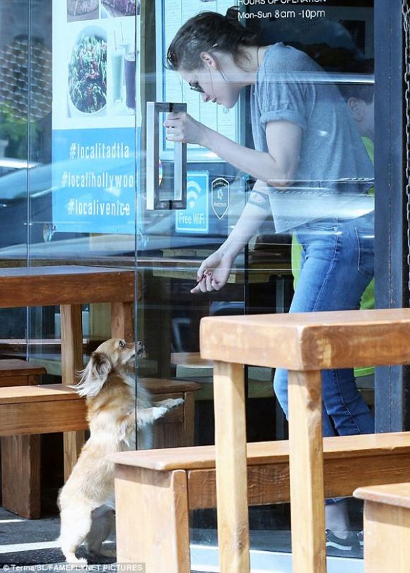 Kristen Stewart tình tứ với bạn gái,Kristen Stewart khiến fans phát ngán,Kristen Stewart yêu đồng tính