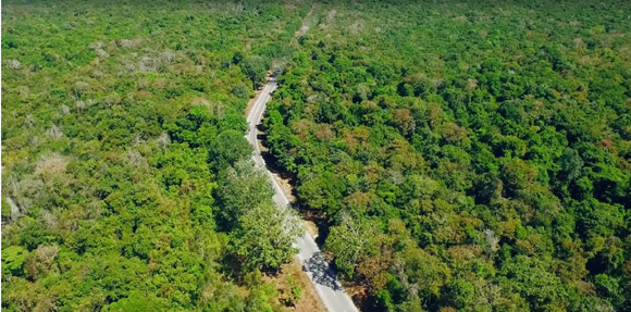 Phan Thị Mơ, Đoàn Thanh Tài, Triển lãm cưới Rustic Melody