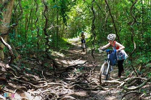 Du lịch Tây Bắc, Du lịch Đà Nẵng, Hội An, Lý Sơn