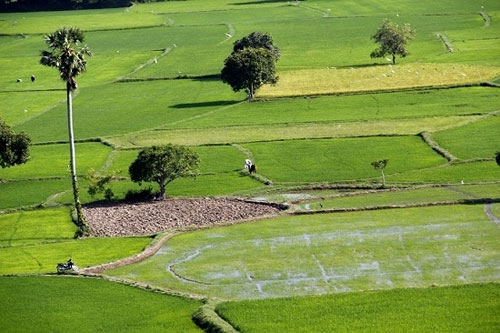 Du lịch Tây Bắc, Du lịch Đà Nẵng, Hội An, Lý Sơn