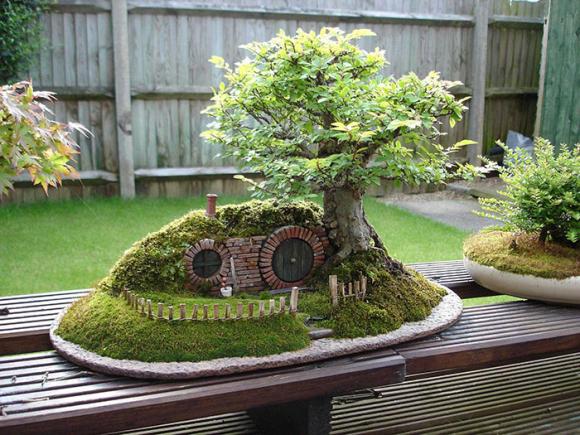 mẫu bonsai đẹp, cây bonsai, bonsai