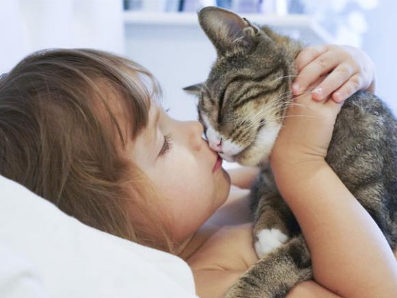 nuôi mèo, lợi ích của mèo, nuôi mèo chữa bệnh