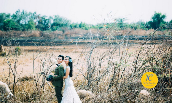 Nụ Cười Vàng Studio, Chụp ảnh cưới, Ảnh cưới đẹp, Triển lãm cưới Rustic Melody