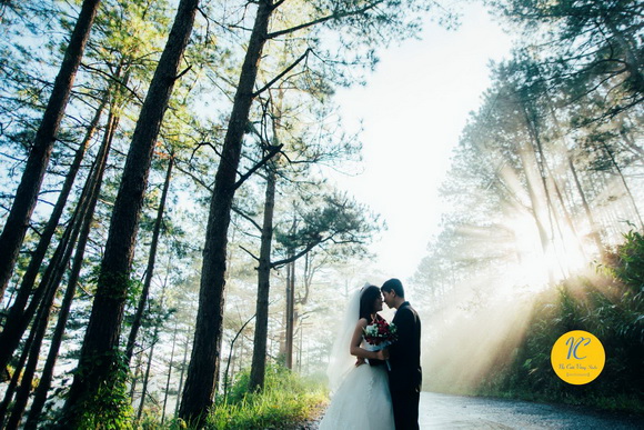 Nụ Cười Vàng Studio, Chụp ảnh cưới, Ảnh cưới đẹp, Triển lãm cưới Rustic Melody