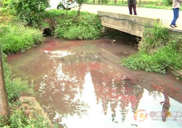  nước kênh bị ô nhiễm đỏ như máu,  nước kênh bị ô nhiễm đỏ như máu gây bệnh,  nước kênh bị ô nhiễm đỏ như máu tại trung quốc