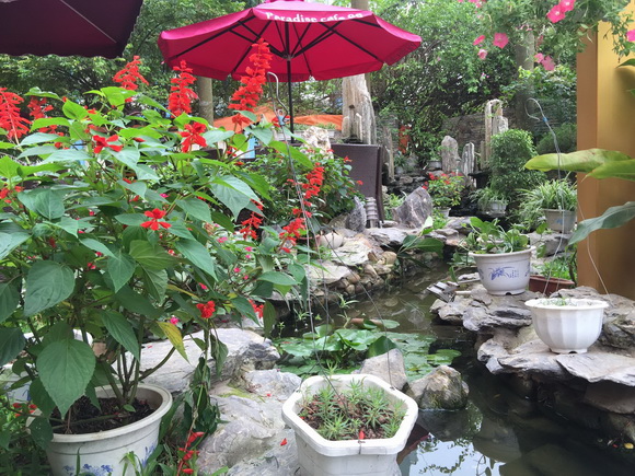 Paradise Café 88, Nhà hàng café cao cấp, Quán café đẹp