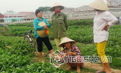 nhà thơ Xuân Quỳnh, diễn viên Tố Uyên, VTV nhầm lẫn
