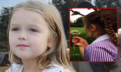 sao Hollywood,công chúa đáng yêu nhất nhà Becks,Harper Seven,sinh nhật 5 tuổi của Harper