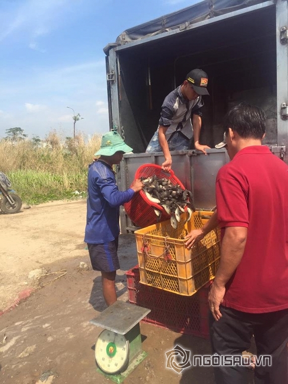 Thủy Tiên, Thủy Tiên và con gái, Thủy Tiên phóng sinh cá, sao Việt