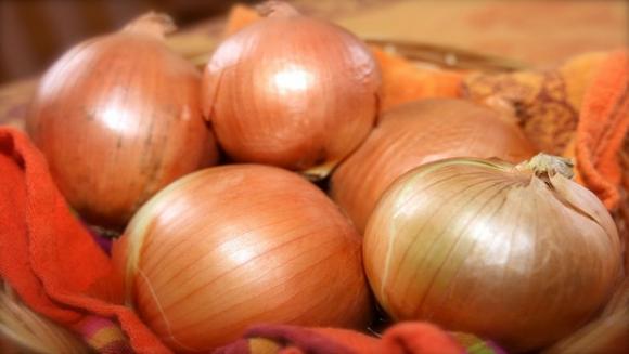 ghẻ, bệnh ghẻ, điều trị ghẻ, ghẻ ngứa, con ghẻ, sức khỏe