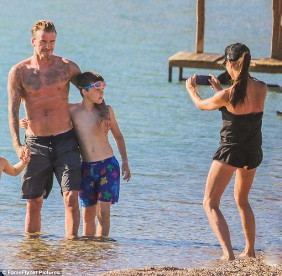 David Beckham, Gia đình David Beckham , danh thủ David Beckham , sao hollywood