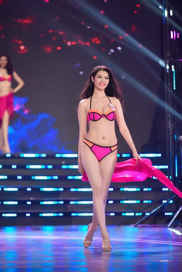 Hoa hậu việt nam 2016,chung khảo hoa hậu phía nam,thí sinh hoa hậu trình diễn bikini