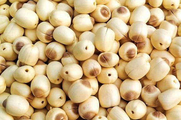 hạt sen, công dụng của hạt sen, tâm sen, giá trị dinh dưỡng, lưu ý khi ăn hạt sen