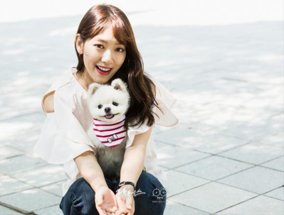 Park Shin Hye - Kim Rae Won, phim Doctors, phim những bác sĩ, phim Hàn, phim hot 2016