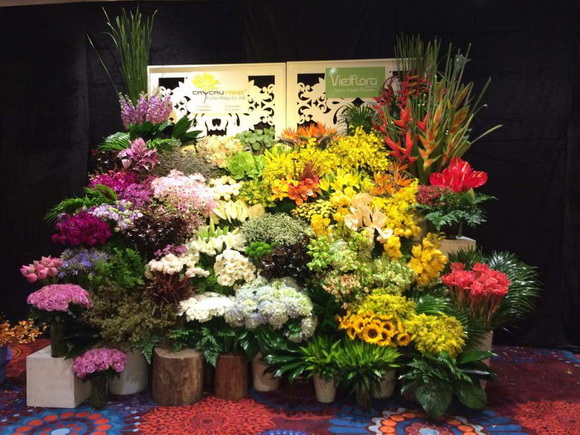 hoa-tuoi-216-663-ngoisao 0 Cây Cầu Vàng, Hoa tươi Cây Cầu Vàng, Hoa cưới 2016