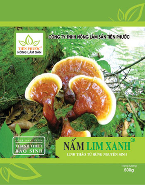 Nấm lim xanh, ung thư gan, Điều trị ung thư gan