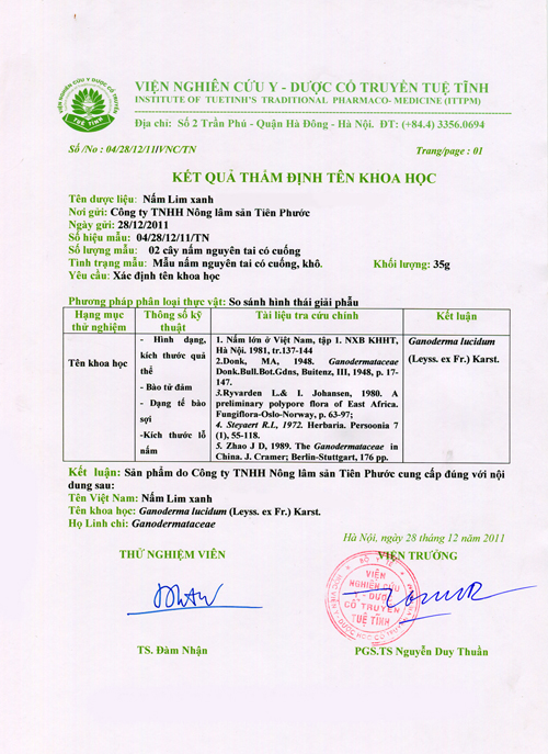 Nấm lim xanh, ung thư gan, Điều trị ung thư gan