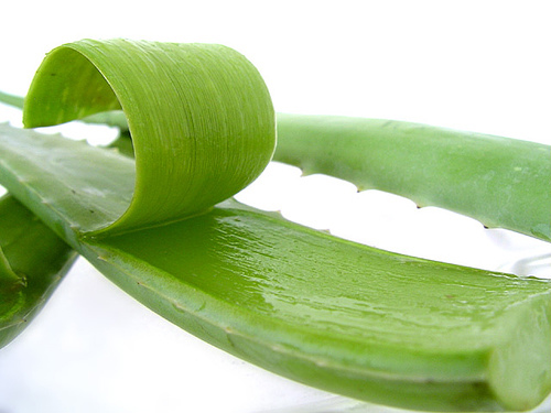 giãn mao mạch, nứt mao mạch, mặt đỏ