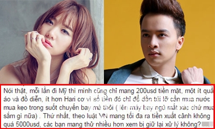 ,nữ ca sĩ hari won,danh hài Trấn Thành, sao việt, sao cầu hôn, hari won, tran thanh