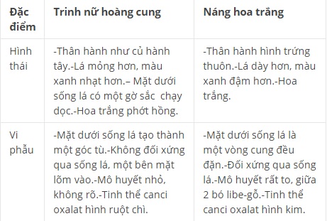 trinh nữ hoàng cung,  u ở vú, cổ, viêm họng, viêm loét dạ dày, tá tràng, cây thuốc