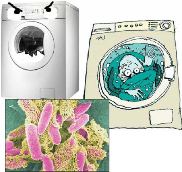 máy giặt, bệnh lây nhiệm, hiểm họa từ máy giặt, giặt chung, nhiễm nấm