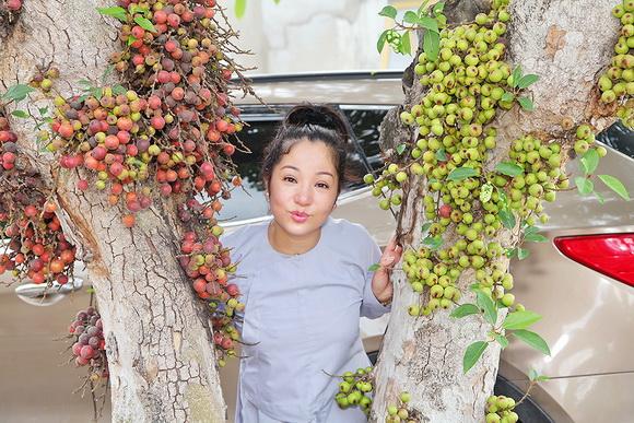 Thúy Nga, Con gái Thúy Nga, Bé Nguyệt Cát, Sao Việt