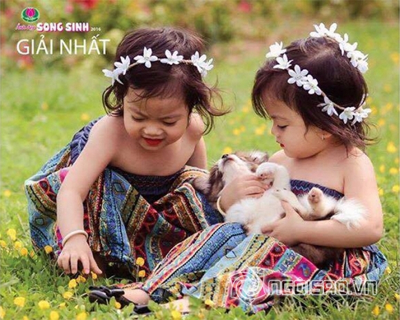 Ngai vàng Điện ảnh 2015 Đoàn Việt Hùng, Ca sĩ Đoàn Việt Hùng, MC Đoàn Việt Hùng, doan viet hung