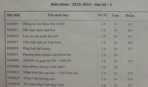 Trấn Thành, Hari Won, Trấn Thành và Hari Won, Sao Việt