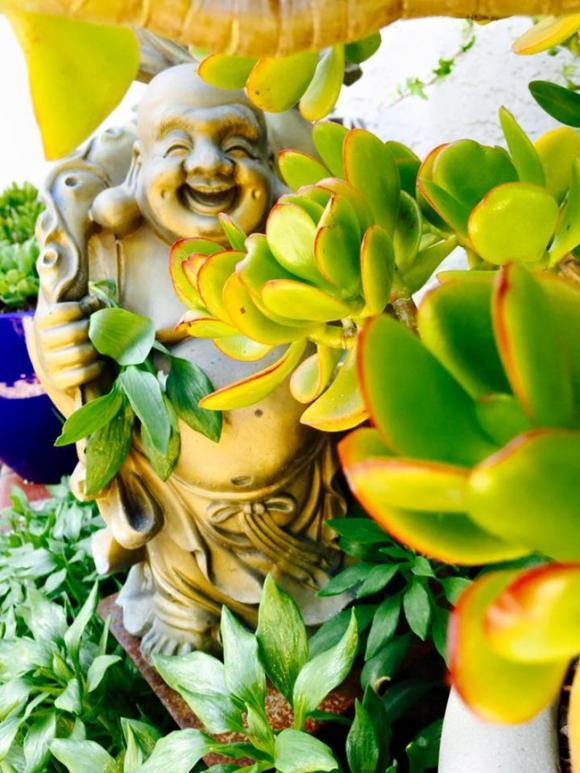 Thúy Nga, nhà Thúy Nga, nhà Thúy Nga ở Mỹ, nhà nhiều cửa sổ của Thúy Nga, nhà Thúy Nga ở Việt Nam, sao việt 