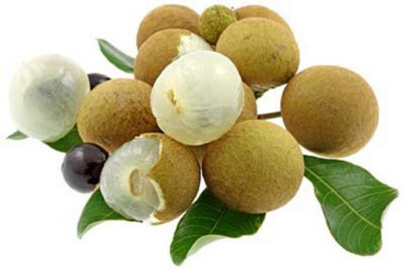 nhãn, quả nhãn, công dụng của quả nhãn, tác dụng của quả nhãn, quả nhãn và công dụng sức khỏe