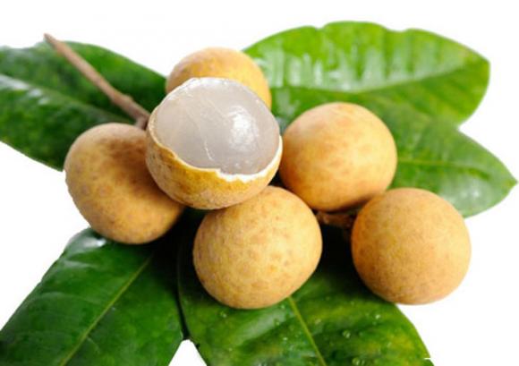 nhãn, quả nhãn, công dụng của quả nhãn, tác dụng của quả nhãn, quả nhãn và công dụng sức khỏe