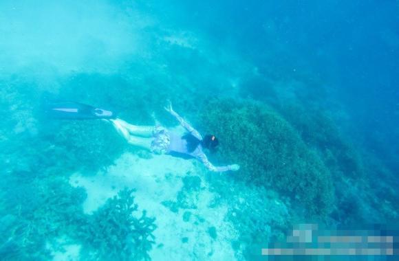 sao Hoa ngữ,sao nữ gốc Việt,sao Hoa ngữ đi nghỉ ở Bali,Chung Lệ Đề, sao nữ gốc Việt và tình trẻ