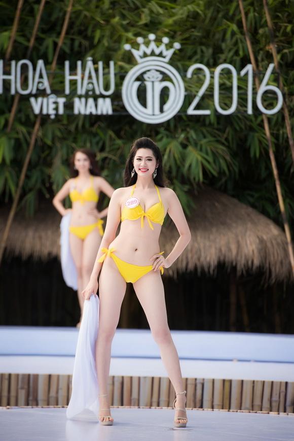 Hoa hậu việt nam 2016,thí sinh hoa hậu việt nam,chung kết hoa hậu việt nam