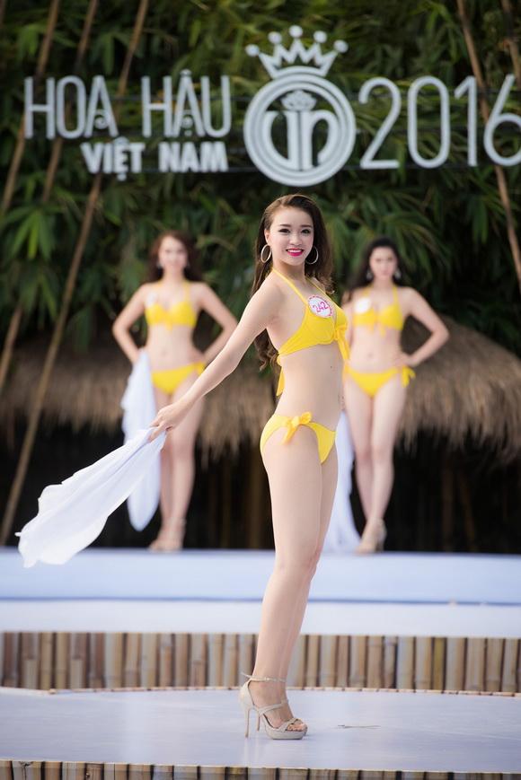 Hoa hậu việt nam 2016,thí sinh hoa hậu việt nam,chung kết hoa hậu việt nam