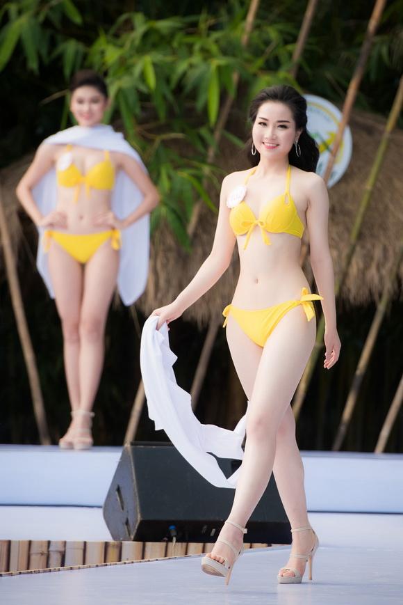 Hoa hậu việt nam 2016,thí sinh hoa hậu việt nam,chung kết hoa hậu việt nam