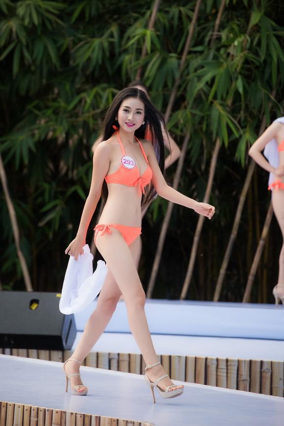 Hoa hậu việt nam 2016,thí sinh hoa hậu việt nam,chung kết hoa hậu việt nam