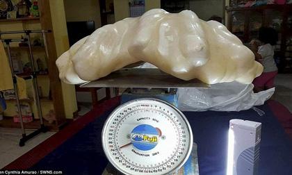 cục vàng nặng 4,1kg, nhặt được cục vàng nặng 4,1kg, nhặt được vàng, vàng