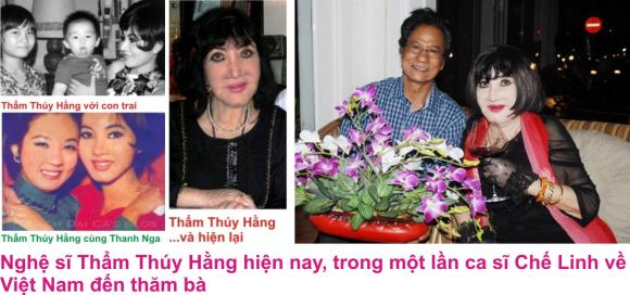 Đại mỹ nhân đất Cảng đầu tiên khiến cho Hoa hậu Nguyễn Thị Huyền, Phạm Hương cũng lép vế là ai?, nữ hoàng điện ảnh, nữ hoàng sân khấu cải lương
