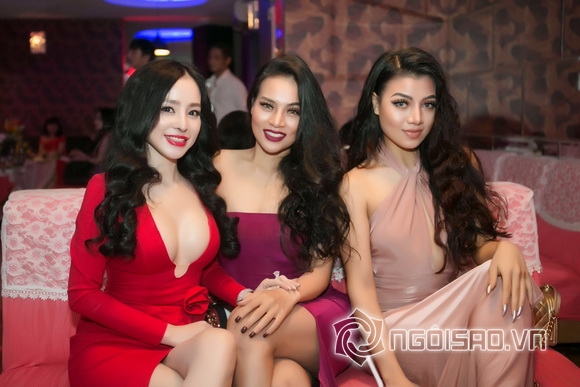 Á hậu Hạ My, Đàm Vĩnh Hưng, Sao Việt