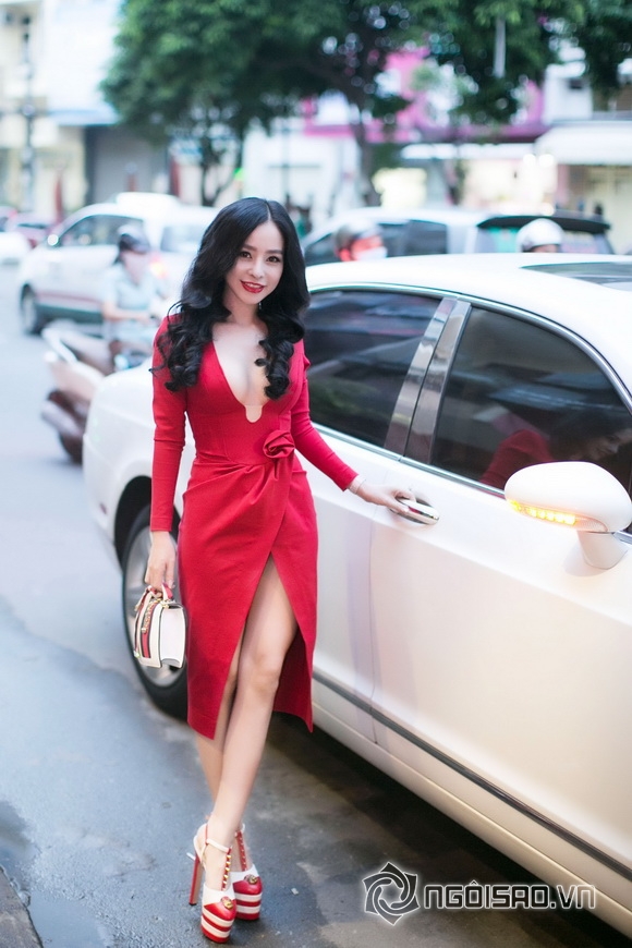 Á hậu Hạ My, Đàm Vĩnh Hưng, Sao Việt