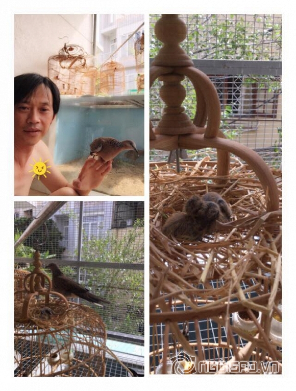 điểm tin sao Việt, sao Việt ngày 2/9, sao Việt, điểm tin sao Việt trong ngày