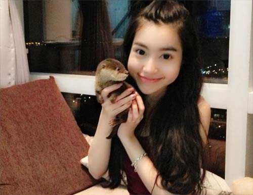 sao Việt, sở thích thú cưng của sao Việt, sao Việt nuôi thú cưng, thú cưng độc đáo của sao Việt